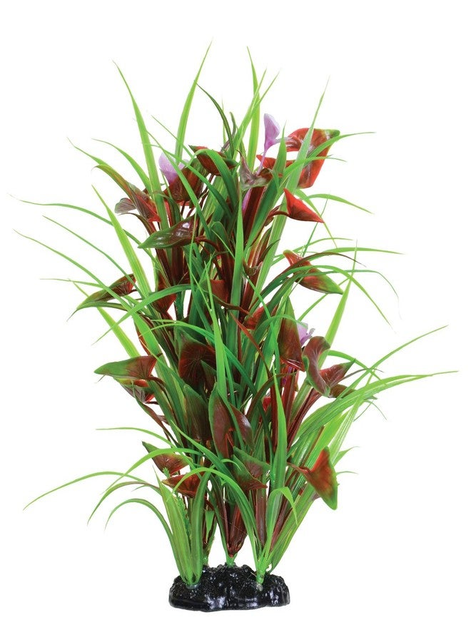 Underwater Treasures Flowering Arrowhead - 12"